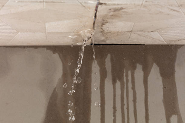 Professional Water Damage Repair technician working in Sandwich, IL